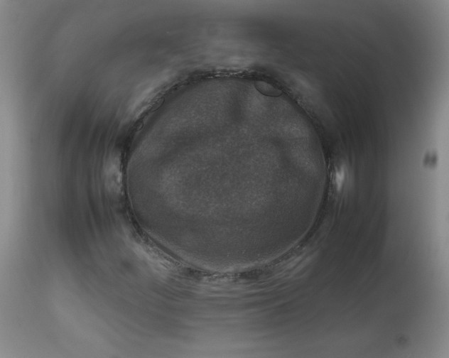 X0000112731252200909101443