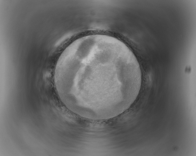 X0000112731254200909101443