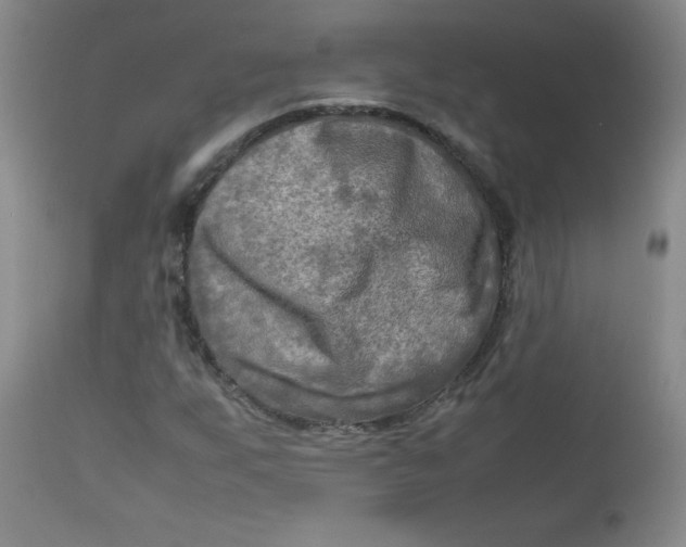 X0000112731255200909101443