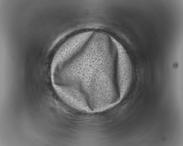 X0000112731256200909101443