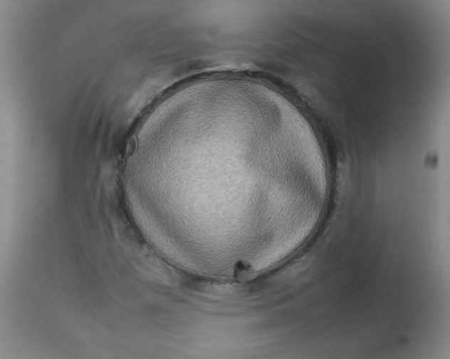 X0000112731257200909101443