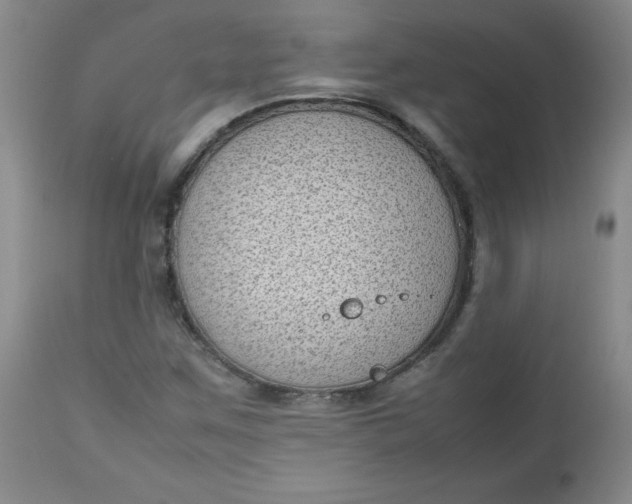 X0000112731259200909101443