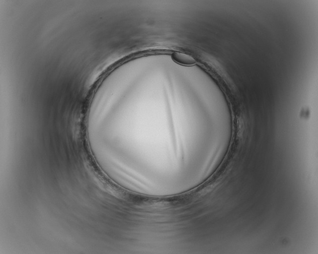 X0000112731260200909101443