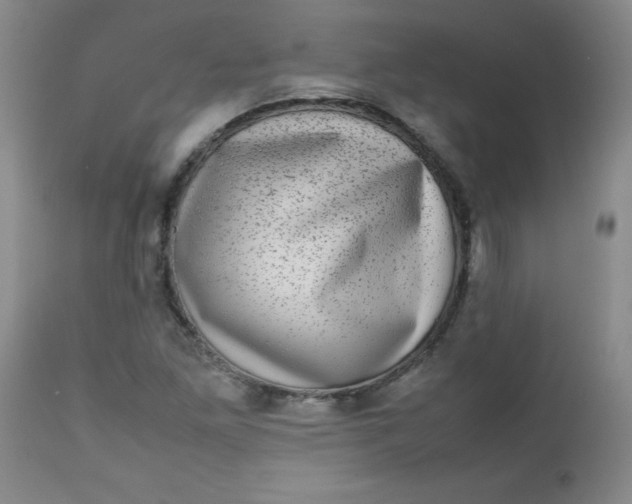 X0000112731261200909101443