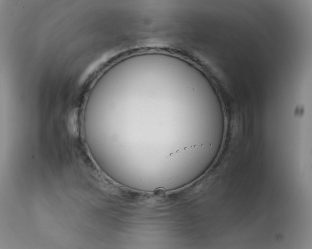 X0000112731262200909101443