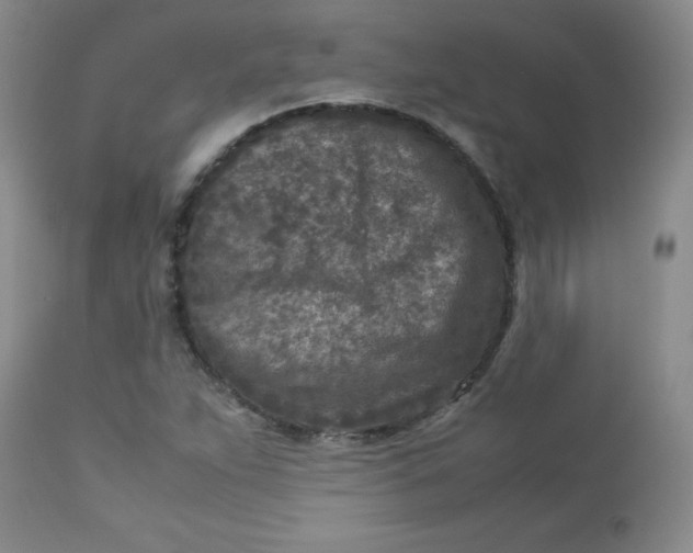 X0000112731263200909101443