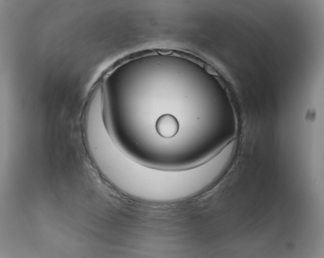 X0000112731264200909101443