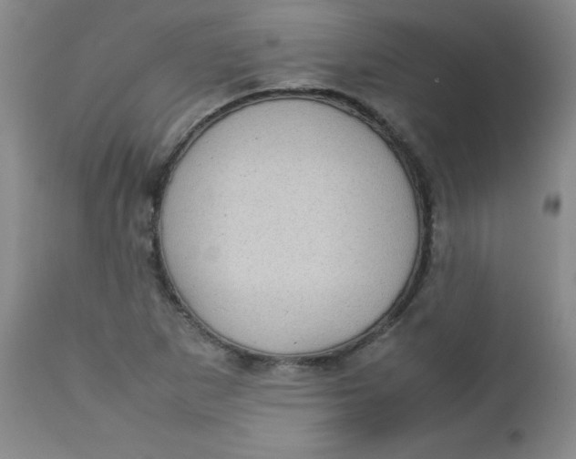 X0000112731265200909101443