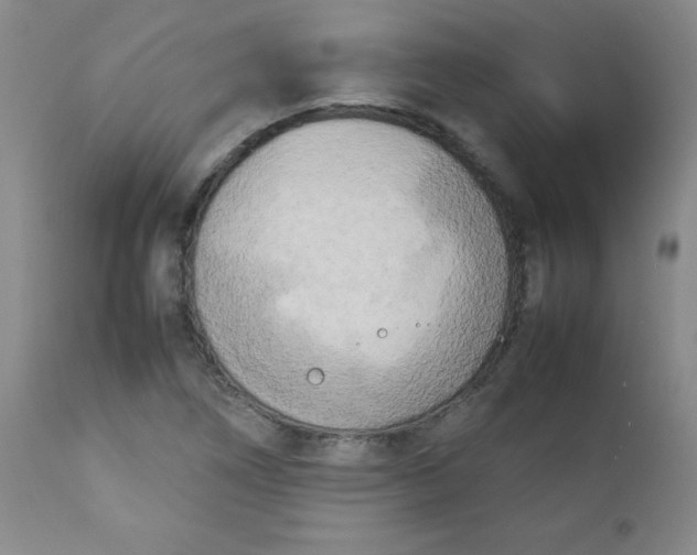 X0000112731266200909101443