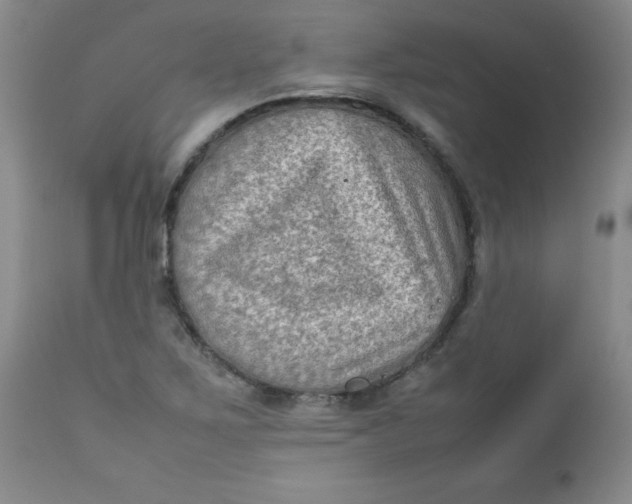 X0000112731267200909101443