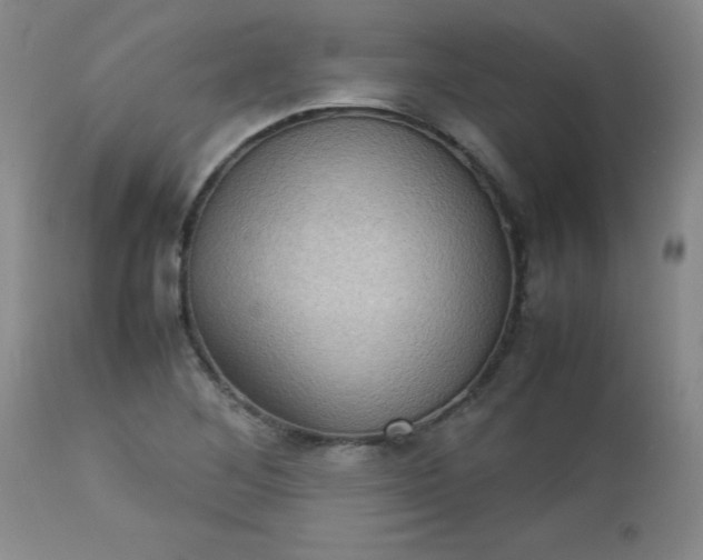 X0000112731268200909101443