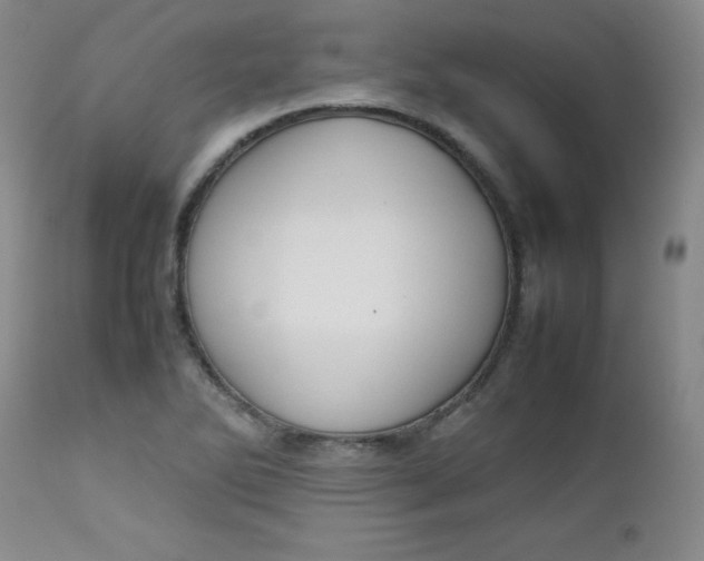 X0000112731270200909101443