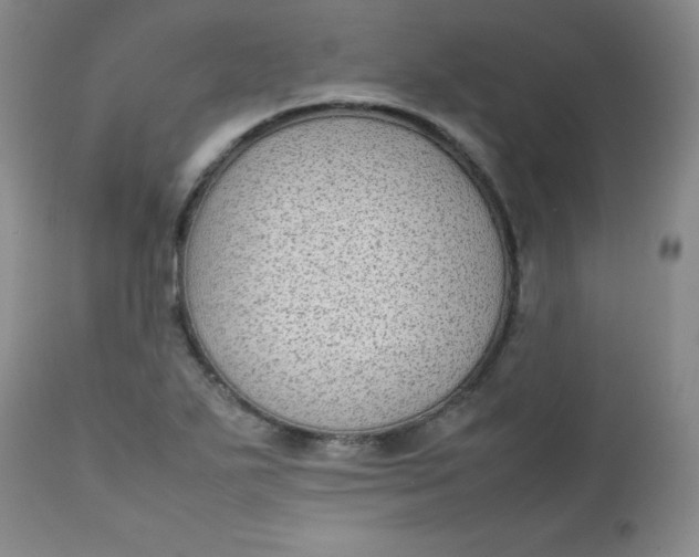 X0000112731271200909101442