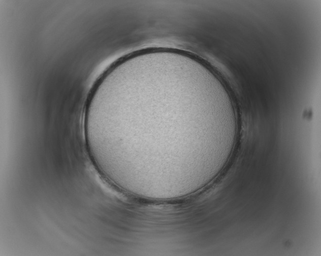 X0000112731272200909101442