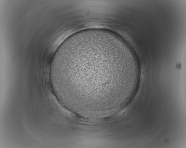 X0000112731273200909101442