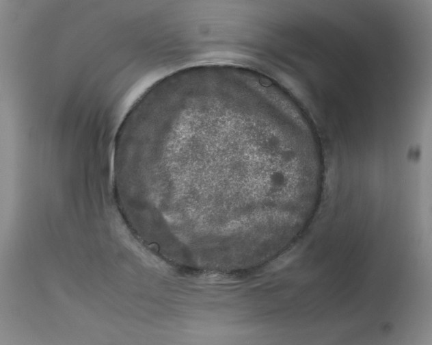 X0000112731275200909101442