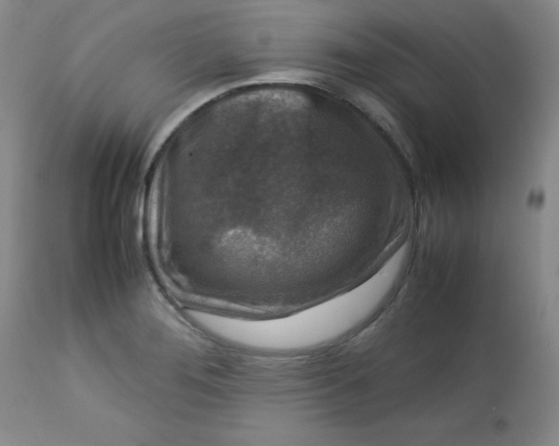 X0000112731276200909101442