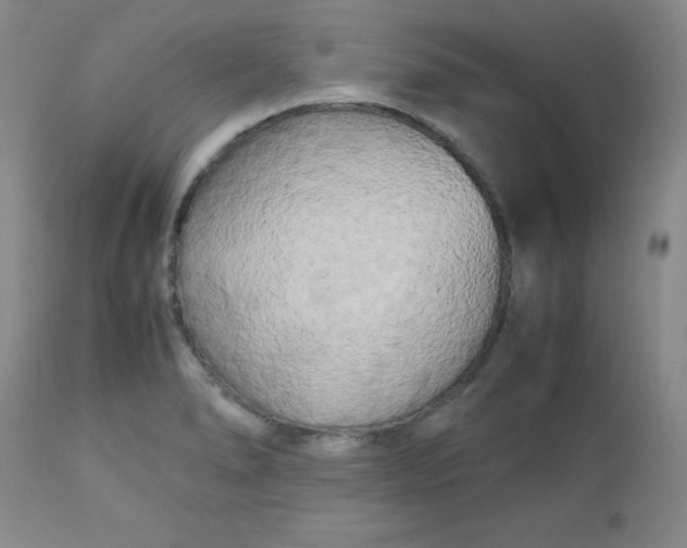 X0000112731278200909101442