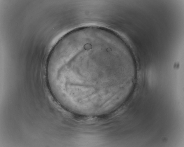 X0000112731279200909101442