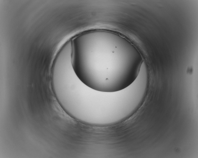 X0000112731280200909101442