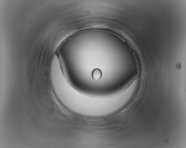 X0000112731281200909101442