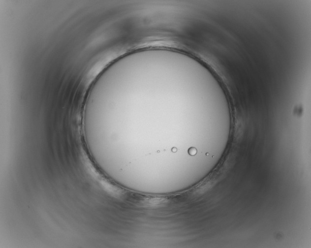 X0000112731282200909101442