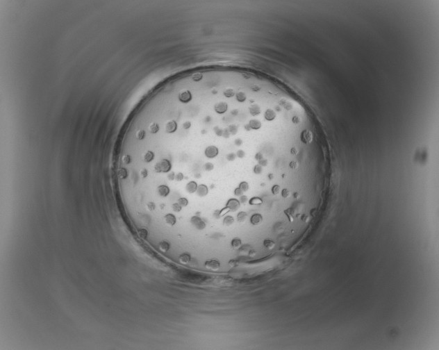 X0000112731283200909101442