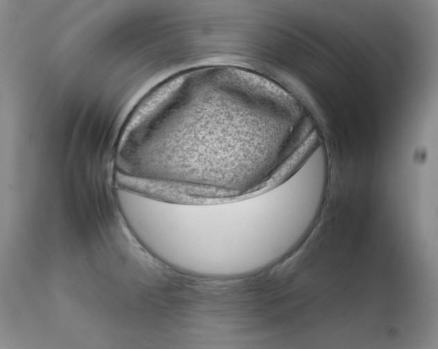 X0000112731284200909101442