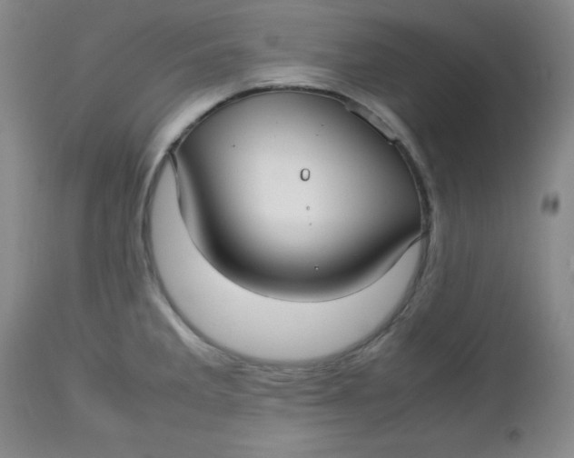 X0000112731285200909101442