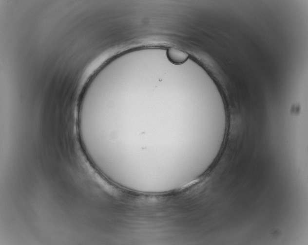 X0000112731286200909101442