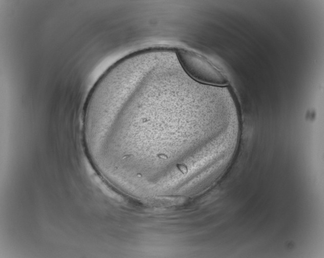 X0000112731287200909101442