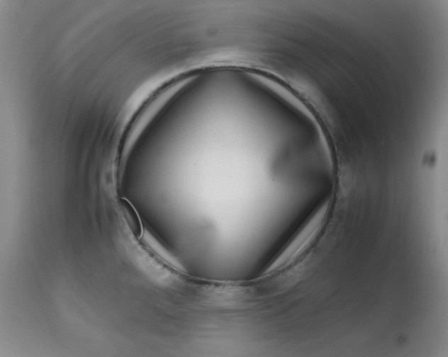 X0000112731288200909101442