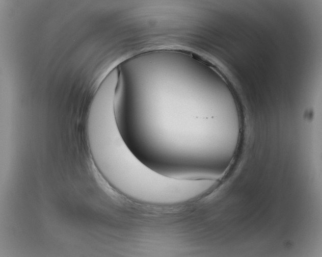 X0000112731289200909101442