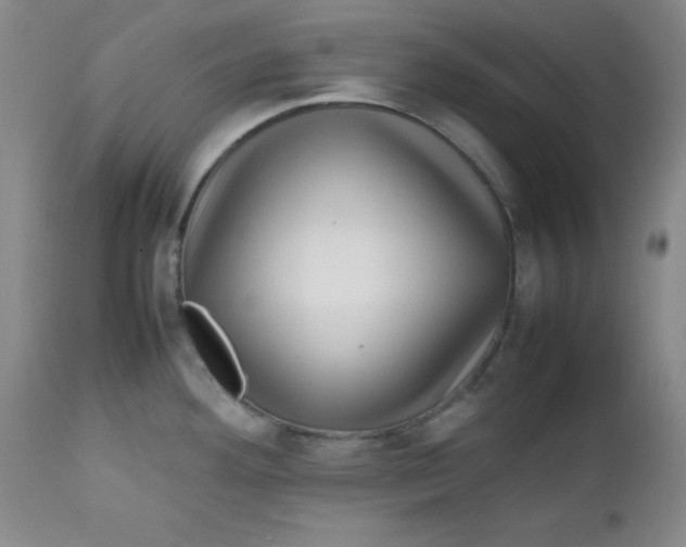 X0000112731292200909101442