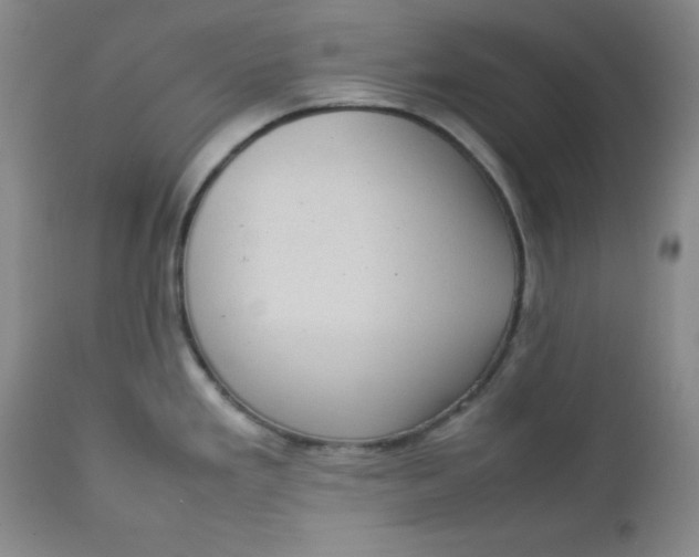 X0000112731293200909101442