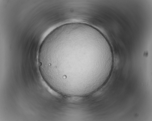 X0000112731294200909101442