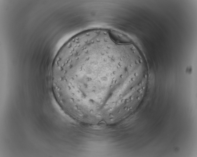 X0000112731295200909101442