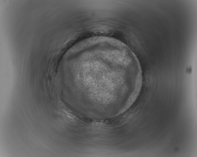 X0000112731297200909101441