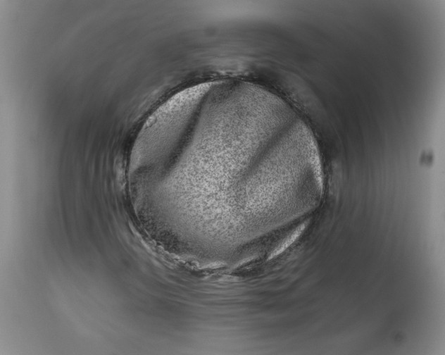 X0000112731298200909101441