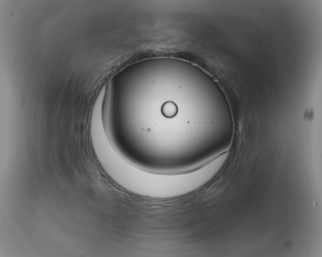 X0000112731300200909101441