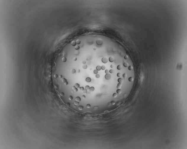 X0000112731301200909101441