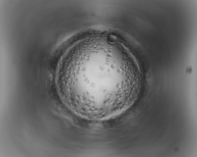 X0000112731302200909101441