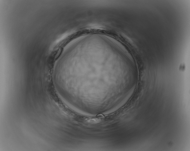 X0000112731303200909101441