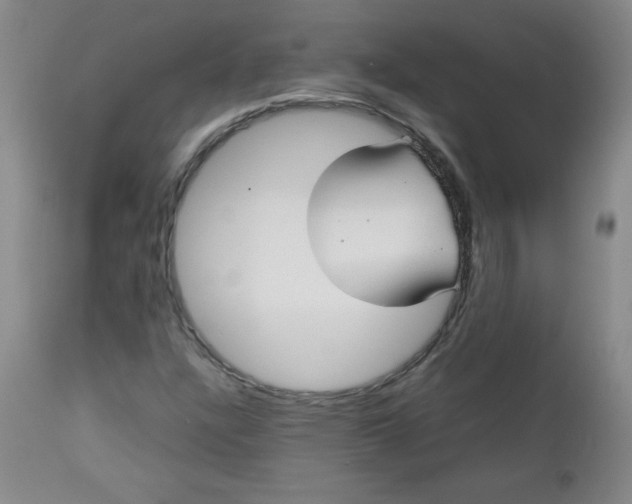 X0000112731304200909101441