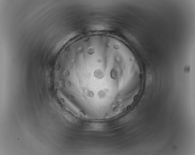 X0000112731305200909101441