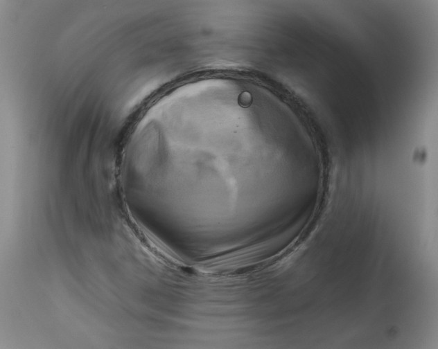 X0000112731306200909101441