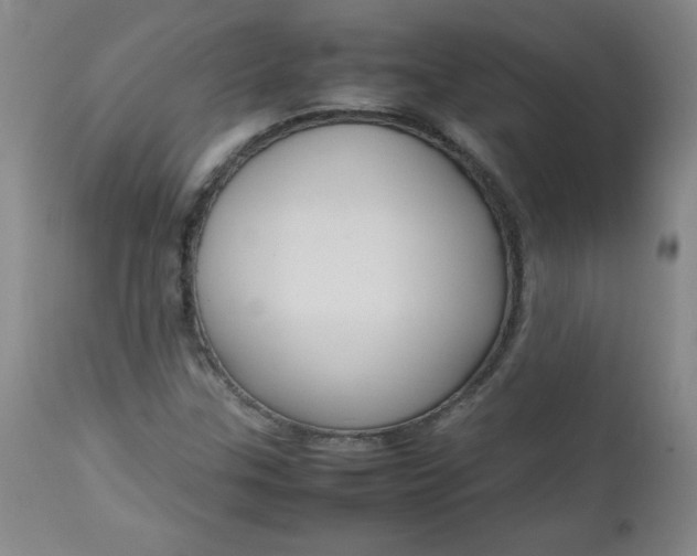 X0000112731307200909101441