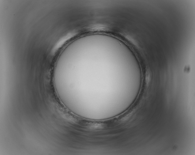 X0000112731309200909101441