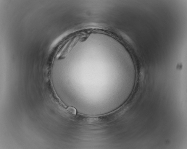 X0000112731310200909101441