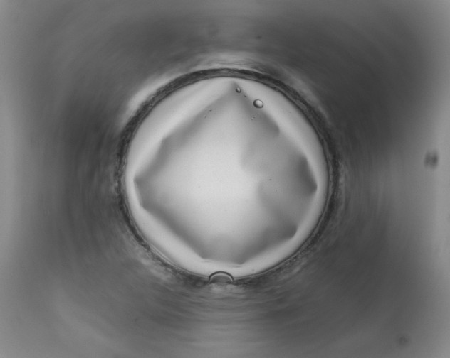 X0000112731312200909101441